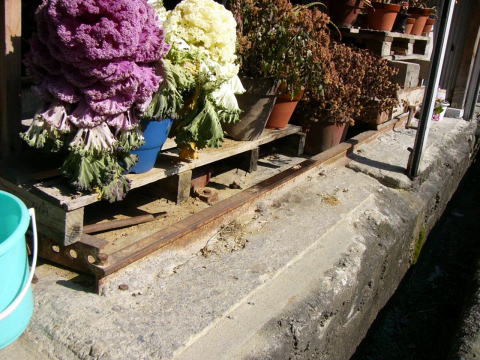 ３メートルくらいのトロッコのレール